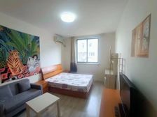 新上笋盘 谢绝虚假 电梯已征询过 出租 高 采光通风好