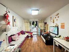 滨浦新苑四村 正南朝向 近地铁 满五 大两房 带电梯