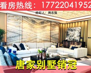 稀缺独栋现楼别墅!珠海唐家【卓越唐家墅】依山傍海财生四时