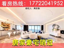 唐家海景豪宅销冠!【仁恒滨海半岛】一线海景,香港设计大师大作