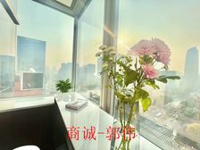 正对双子塔 晶科一号王炸户型 双面采光(5隔间16工位)