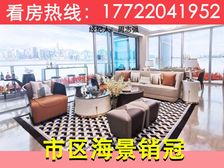港车北上通车!口岸重资产,未来,40-216平精装!