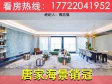 白沙滩无敌海景!唐家半岛【华发绿洋湾】300平钻石海景现楼!