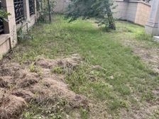 鸿园一期联排别墅,带300多平的花园,急售,随时看房,急急急