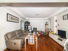 莘庄南广场 朝南 有电梯 交通便捷 双卫生间 近地铁 精装修