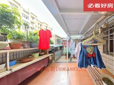 本人实地拍摄!桂竹香带大院子!房东只求一卖!新房已定好