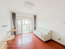 小叶实拍房源 业主指定维护人 已买诚心出售 中心位置电梯高层