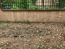 新城公馆别墅毛坯边户满2年——没有上过学近新城帝景随时看房急