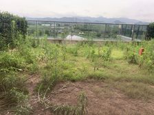 绿城云栖桃花源,品质中式别墅,南向第壹排:风景无敌好,大花园