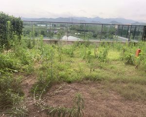 绿城云栖桃花源,品质中式别墅,南向第壹排:风景无敌好,大花园