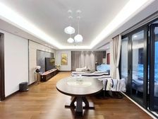 天府一街一梯一户,万科公园五号,精装跃层,朝南对中庭,安静