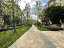 恒大时代之光叠墅,全新精装,从未住过了,地铁直接入户,捡漏价