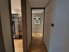 锦江区攀成钢新希望D10200平住房豪华装修直接认购