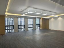 银丰财富广场300平500平900平)玉兰广场)华润中心