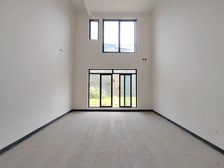 龙湖天字系 临江法式双拼 花园260平 单层150平 可观江