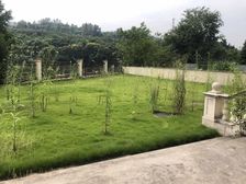 照母山法式庄园独栋 一线临湖 花园800平 面宽40米