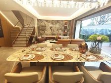 沙.小+南.开,西永科学城,招商渝天府板式下叠拼别墅,双轻轨