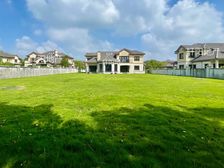 好房推荐临湖 排 独栋别墅 南花园3.1亩 阳台直观湖景