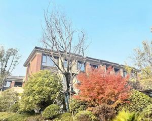 湖山赋 一期当头户大花园边户 采光特别好 全明地下室