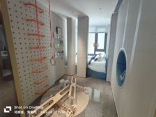 新区,兴洛湖旁,高铁站边,地铁口,龙城,150平,4室2厅