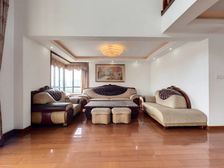 苏州河一览无余 新出的顶楼复式 性价比高 房东诚心出售