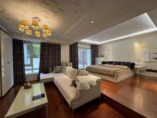 市中心独栋别墅 凤凰莱茵苑 好位置 一附 随时看