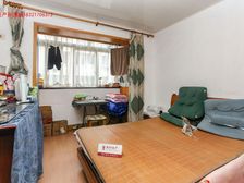真实售价!!!经典双南户型!!!金杨园 拎包入住
