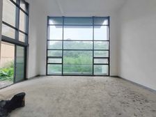 南城独栋别墅 花园200多平 使用面积800多平 诚心卖