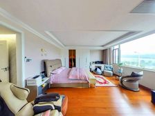 一线江景独栋 全屋豪华精装正看锦江 室内带电梯 使用900平