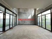 450万入住照母山合院别墅 单层120平 出门公园 近光环