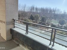 ÂåÁúÇø,18Äê±ðÊû,700ƽ»¨Ô°,ºþ¾°·¿,ËÍ200ƽ¸ºÒ»²ã