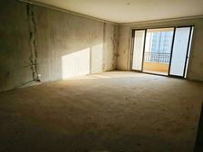 九龙湖地铁口 赣江边 国体中心旁毛坯大平层 外国语 南师