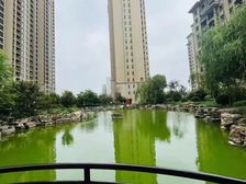 实景现房无连廊 中式园林物业服务好 小高层清盘