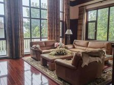 桃李春风 独栋别墅633.5平 楼旺位置 经 典户型