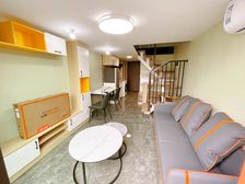 本人实拍 非凡领域 精装复式 来电送家私电 带独立红本