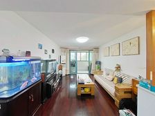 滨江雅苑业主急红眼 满五年精装全明 看了不后悔 近地铁好商量