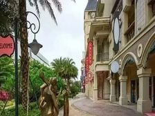 融创文旅城 轻轨旁边 读华师 中心望花园 送车位 免税