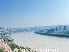 江北嘴 鲁能双轻轨 复式大平层 横厅 全套房设计 推荐!!