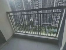 桐悦花园 南北向精装修 着急出售 急卖 好楼层好单位近地铁