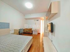 地铁口 ,租金抵月供,精装修小户型住宅,急售