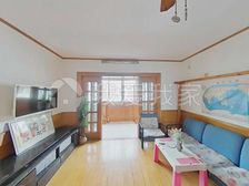 飞机西边套大三房阁楼3.11.12.23号线万科龙华会