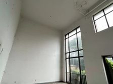 虎门城芯万科紫台别墅 带前后花园上下四层 实用面积超500平