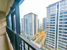 七龙渝八 一手程序 核心洋楼 三轻轨 全落地窗 成熟配套