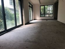 精装独栋,纯别墅庄园,享受人生