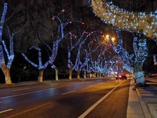 西湖边定安路地铁口西湖大道沿街1楼510方商铺招租医美中医等