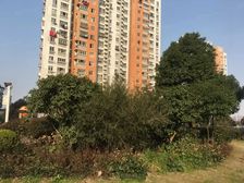 南北通透,采光好,老少皆宜,看房方便