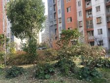 南北通透,高楼层,业主急售,采光好