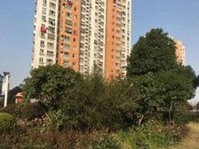 南北通透,采光好,老少皆宜,看房方便