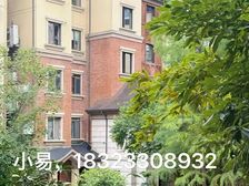 龙头寺 板式洋房 内圈 全看中庭 视野非常好 推荐!!