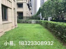 照母山 板式端户下叠 双学区 轻轨5号线出口 推荐 必看!!